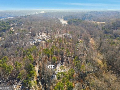 Private 2.71-acre lot in Gainesville, just minutes from Lake - photo 4