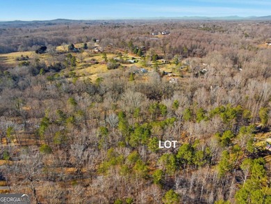 Private 2.71-acre lot in Gainesville, just minutes from Lake - photo 5