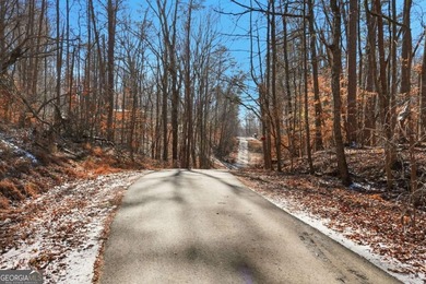 Private 2.71-acre lot in Gainesville, just minutes from Lake - photo 6