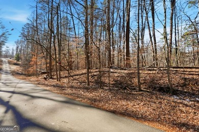 Private 2.71-acre lot in Gainesville, just minutes from Lake - photo 7