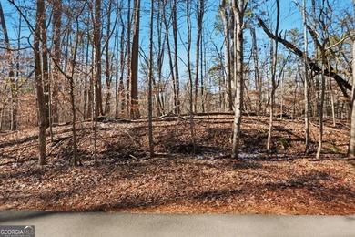 Private 2.71-acre lot in Gainesville, just minutes from Lake - photo 8