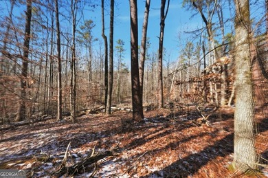 Private 2.71-acre lot in Gainesville, just minutes from Lake - photo 9