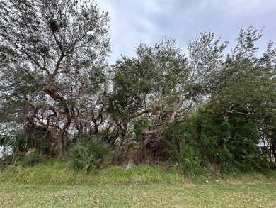 (private lake, pond, creek) Lot For Sale in New Smyrna Beach Florida