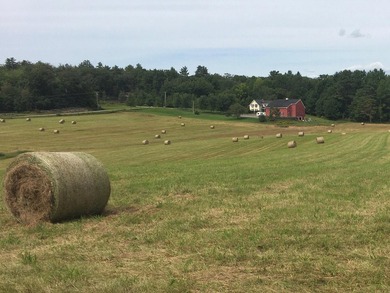 LAKE SENNEBEC FARM. Have you ever thought about giving your kids - photo 18
