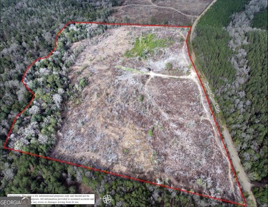 (private lake, pond, coastal) Acreage Sale Pending in Elba Alabama