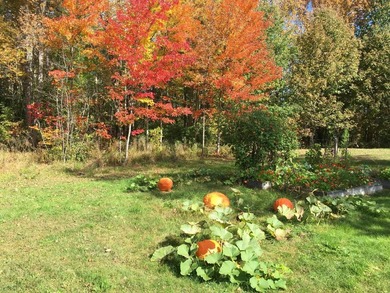 LAKE SENNEBEC FARM. Have you ever thought about giving your kids - photo 23