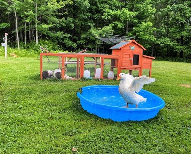 LAKE SENNEBEC FARM. Have you ever thought about giving your kids - photo 26