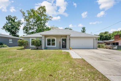 Lake Home For Sale in Yalaha, Florida