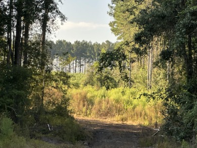 (private lake, pond, creek) Acreage For Sale in Defuniak Springs Florida