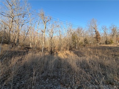 Lake view lot at Lake of the Ozarks! 4.69 acres affords for room - photo 2