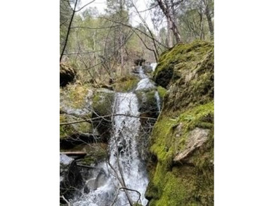Escape Virtual Reality on this magical piece of land, a true - photo 2