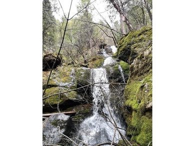 Escape Virtual Reality on this magical piece of land, a true - photo 4