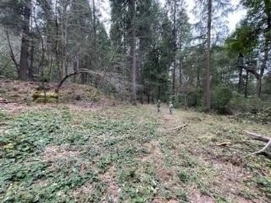 Escape Virtual Reality on this magical piece of land, a true - photo 5