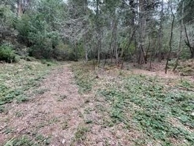 Escape Virtual Reality on this magical piece of land, a true - photo 6