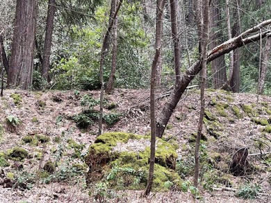Escape Virtual Reality on this magical piece of land, a true - photo 9