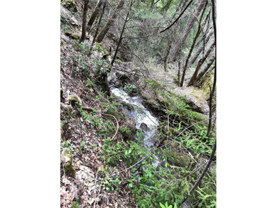Escape Virtual Reality on this magical piece of land, a true - photo 10