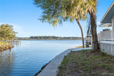 Just 1 hour from Tampa via Suncoast Parkway, this rare main - photo 15