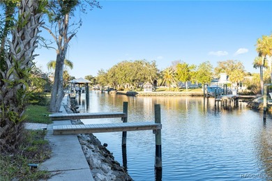 Just 1 hour from Tampa via Suncoast Parkway, this rare main - photo 16