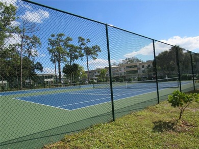 Charlotte Square Updated 55+ community. Pristine and furnished - photo 31