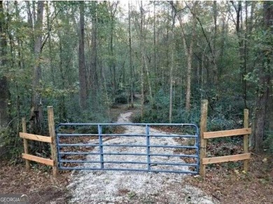 (private lake, pond, creek) Acreage For Sale in Bowdon Georgia