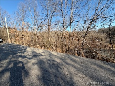 Check out this Lakefront lot at an unbeatable price! This rare - photo 4