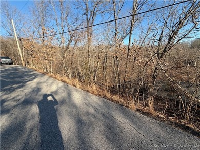 Check out this Lakefront lot at an unbeatable price! This rare - photo 5