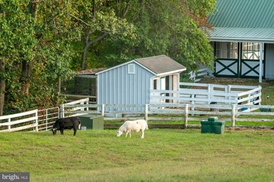 Seaton Place Farm - A legacy estate of scale, privacy, and - photo 49