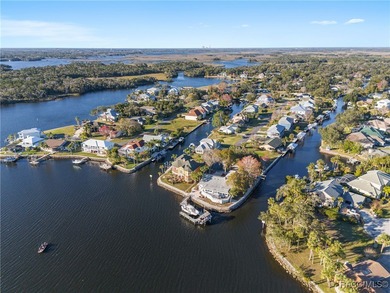 Just 1 hour from Tampa via Suncoast Parkway, this rare main - photo 52