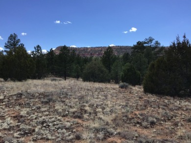 Ramah Reservoir Acreage For Sale in Ramah New Mexico