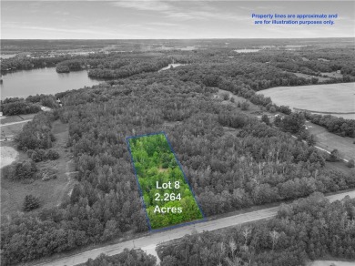 Lake Chetek Acreage For Sale in Chetek Wisconsin