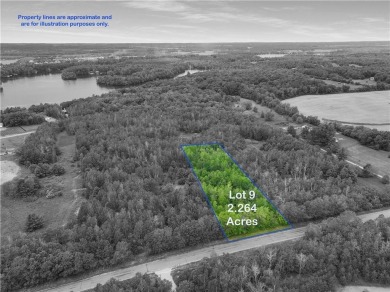 Lake Acreage For Sale in Chetek, Wisconsin