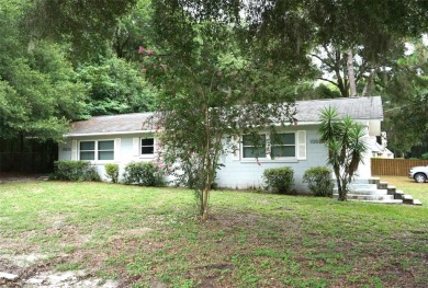 Lake Townhome/Townhouse For Sale in Ocklawaha, Florida