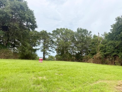 Lake Lot For Sale in Poplarville, Mississippi