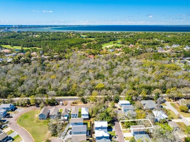 Build your dream home in Sacred Oaks, a hidden gem in South - photo 11