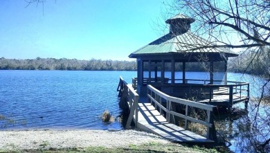Santa Fe Lake Acreage For Sale in Earleton Florida