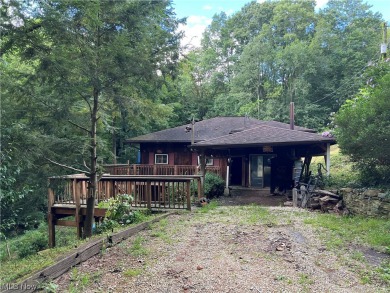 Leesville Lake Home For Sale in Carrollton Ohio