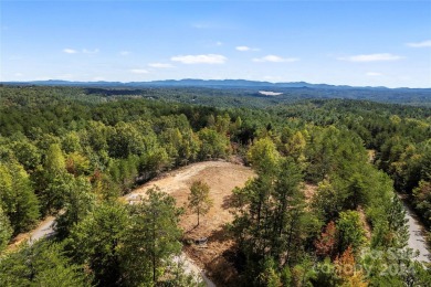 Lake Lot For Sale in Nebo, North Carolina