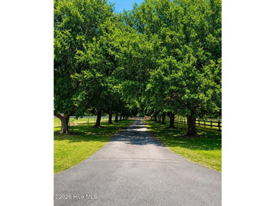 A picturesque tree-lined driveway welcomes you home, setting the - photo 6
