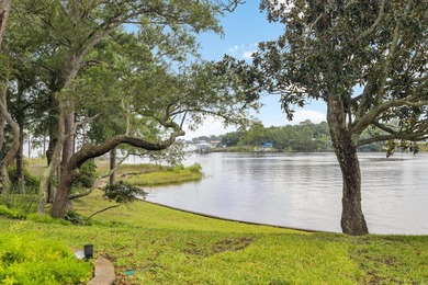 Exquisite Waterfront Oasis on Joe's Bayou *No HOA*** Experience - photo 18