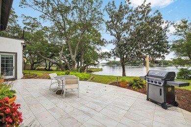 Exquisite Waterfront Oasis on Joe's Bayou *No HOA*** Experience - photo 19