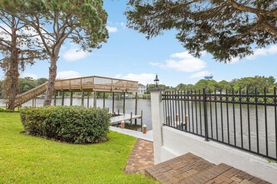 Exquisite Waterfront Oasis on Joe's Bayou *No HOA*** Experience - photo 39