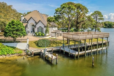 Exquisite Waterfront Oasis on Joe's Bayou *No HOA*** Experience - photo 41