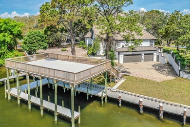 Exquisite Waterfront Oasis on Joe's Bayou *No HOA*** Experience - photo 43