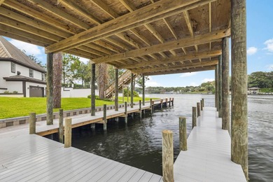 Exquisite Waterfront Oasis on Joe's Bayou *No HOA*** Experience - photo 44