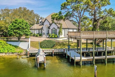 Exquisite Waterfront Oasis on Joe's Bayou *No HOA*** Experience - photo 46