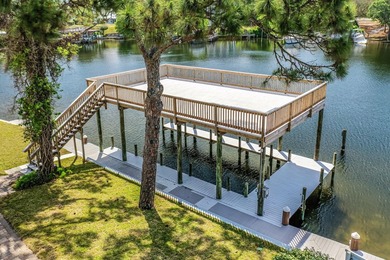 Exquisite Waterfront Oasis on Joe's Bayou *No HOA*** Experience - photo 48