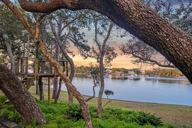 Exquisite Waterfront Oasis on Joe's Bayou *No HOA*** Experience - photo 49