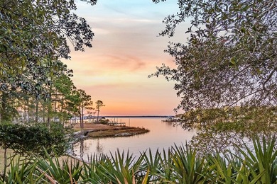 Exquisite Waterfront Oasis on Joe's Bayou *No HOA*** Experience - photo 50