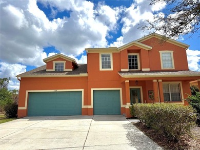 (private lake, pond, coastal) Home For Sale in Riverview Florida