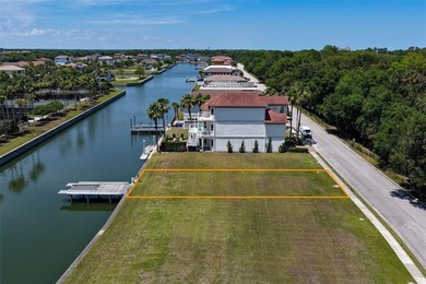 This exceptional homesite in Yacht Harbor offers the perfect - photo 17